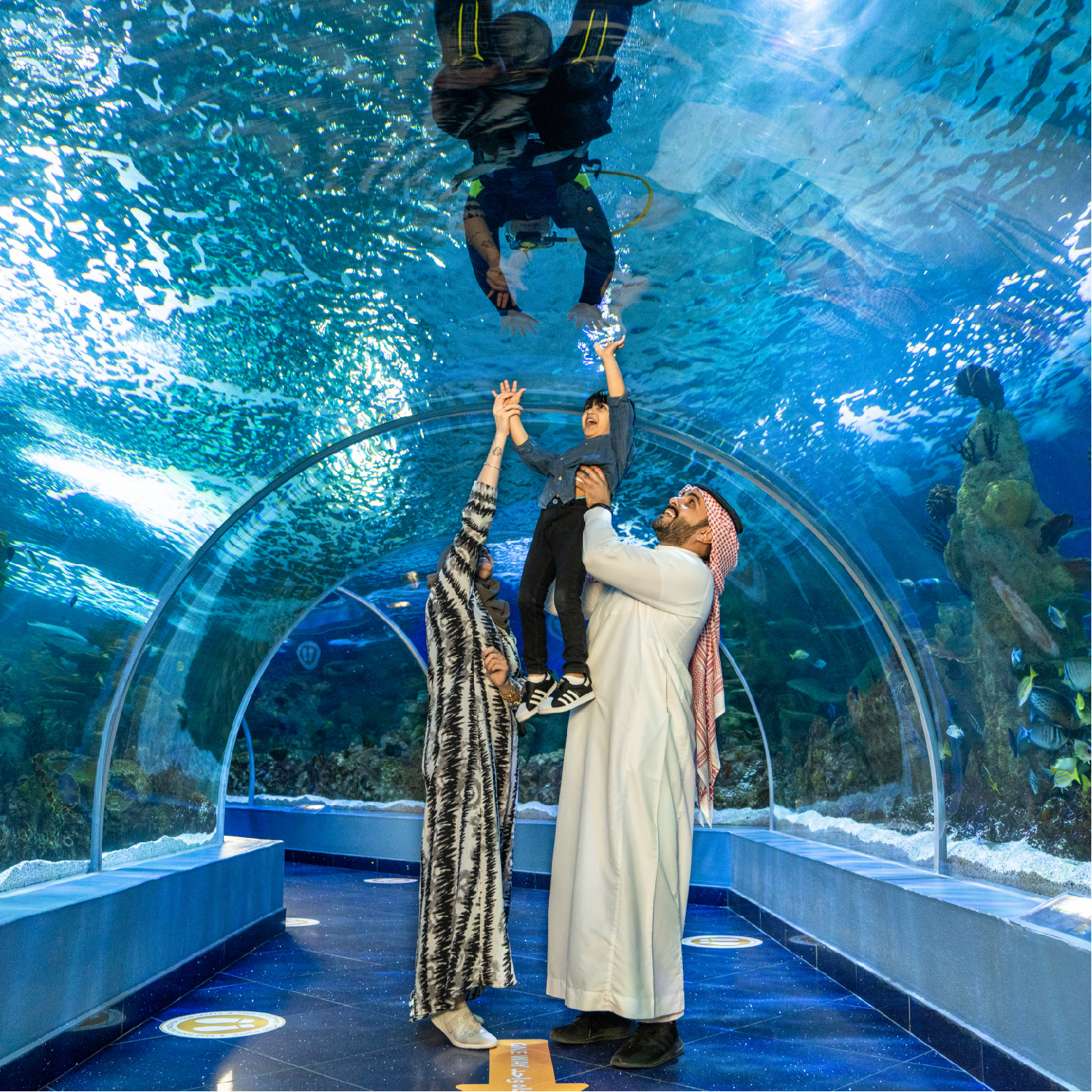 فقيه أكواريوم