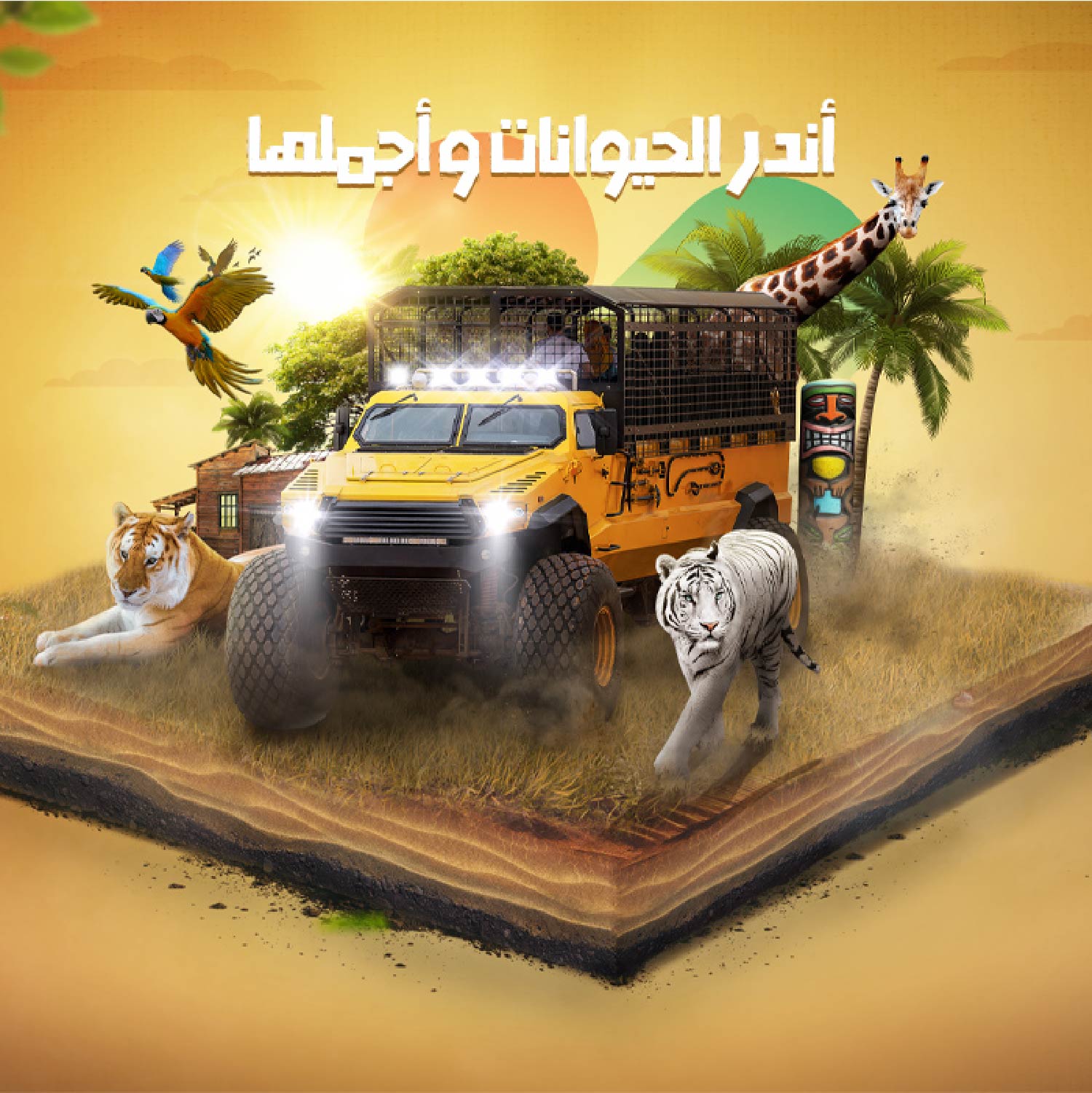 Enjoy | Safari experience