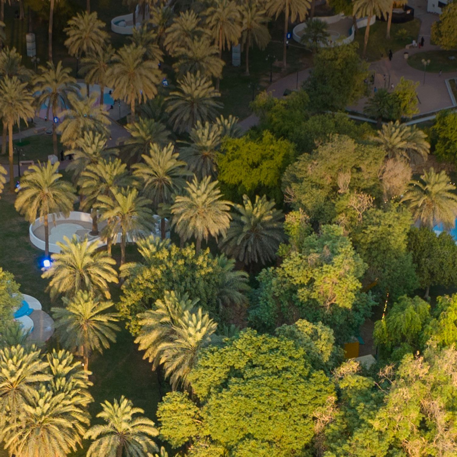 AL-SUWAIDI PARK 