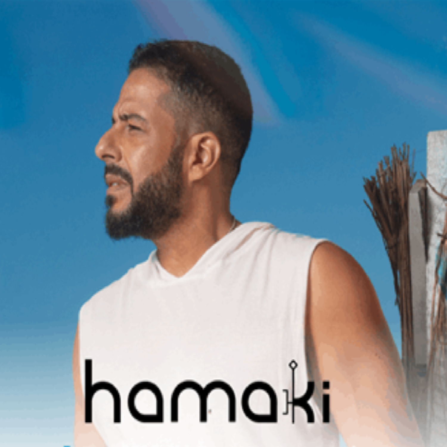 Enjoy Mohamed Hamaki Concert