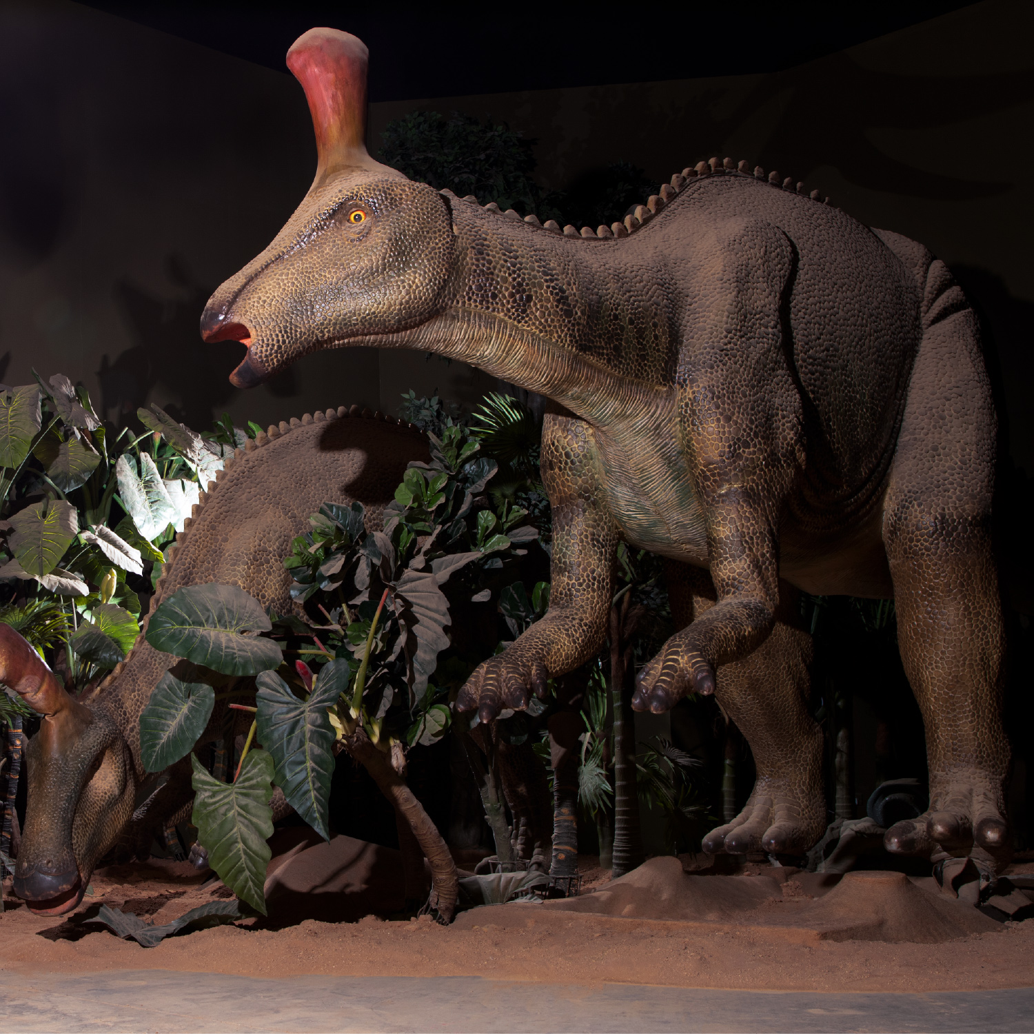 معرض الديناصورات 